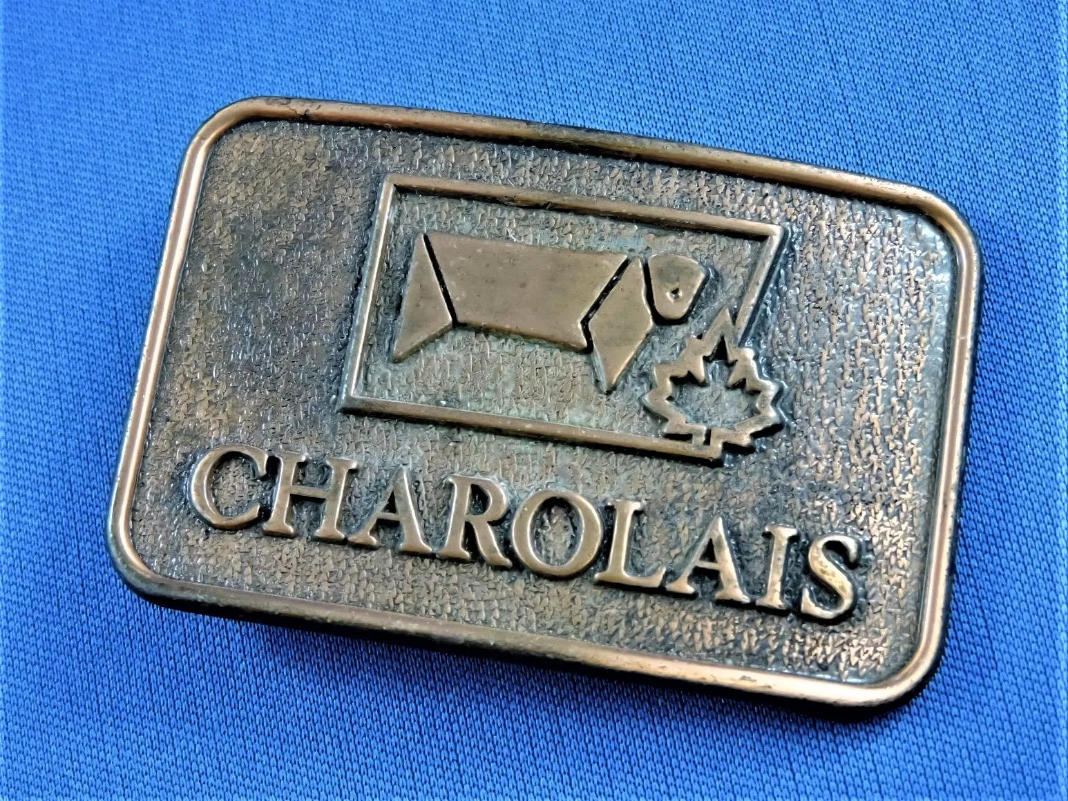 Belt Buckle - Charolais Bull