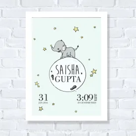 Birth Statistics Frame - Little Ellie