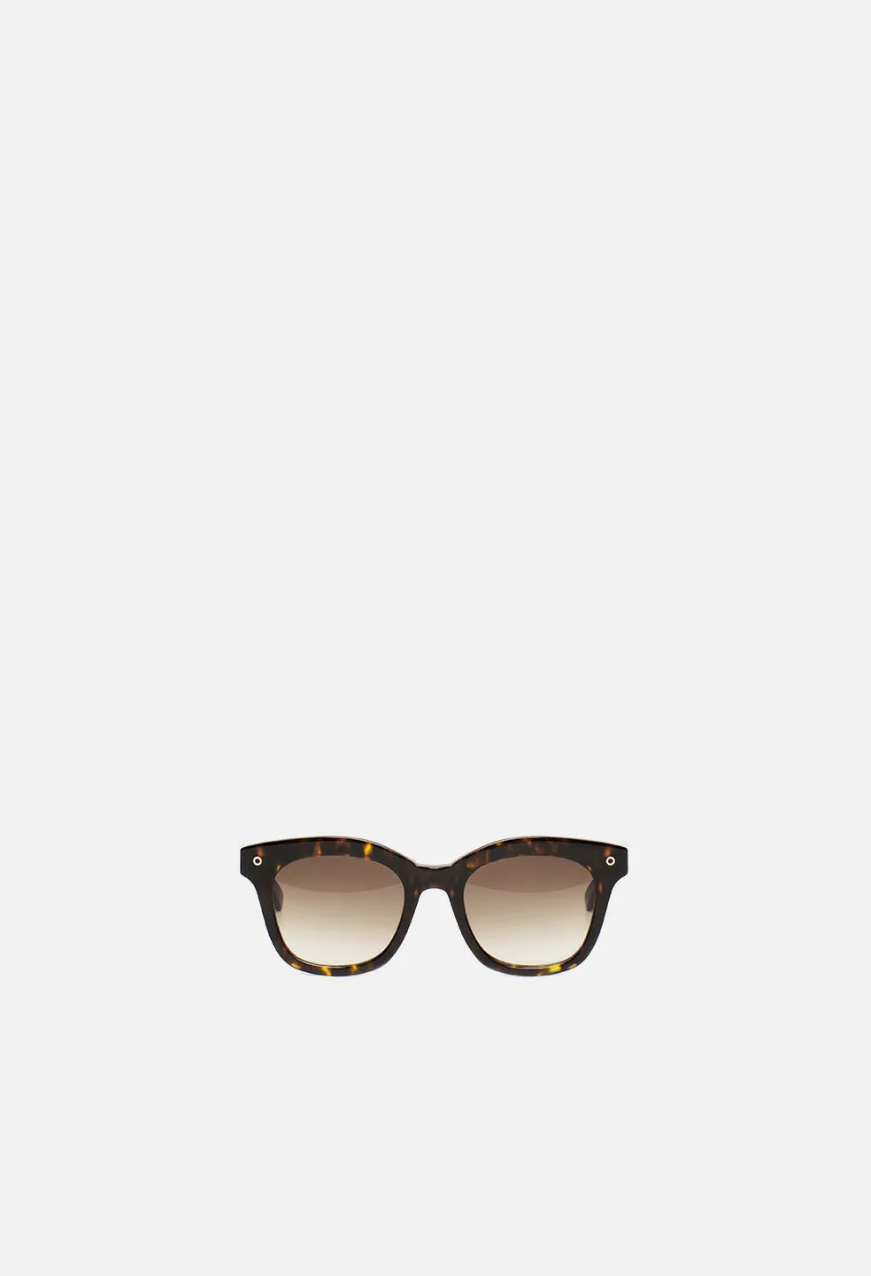 Clerk Sq. Frame Sunglasses / Tortoise