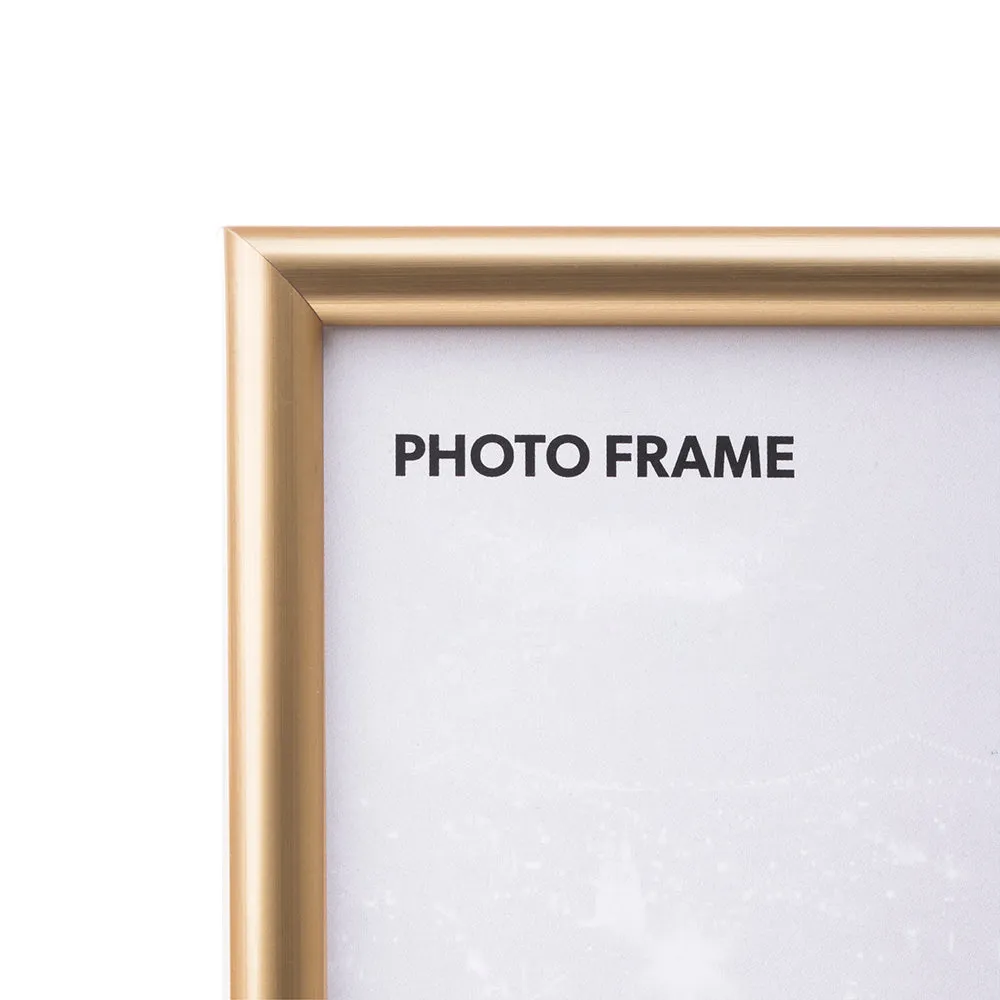 Frisco Series (Gold)