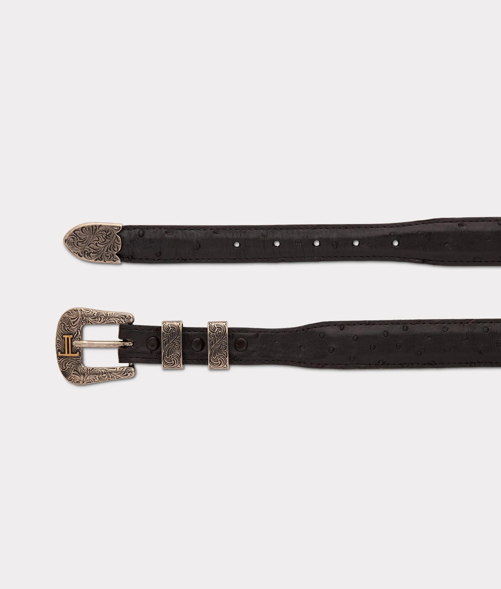 Full Quill Ostrich Tapered :: Black