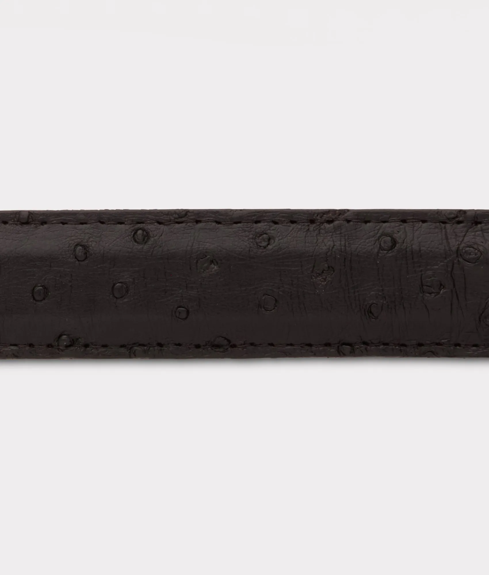 Full Quill Ostrich Tapered :: Black